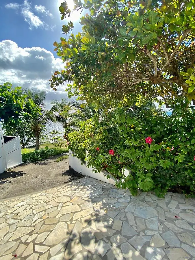 Tatil Evi Gite Les Reves D'Or Deshaies